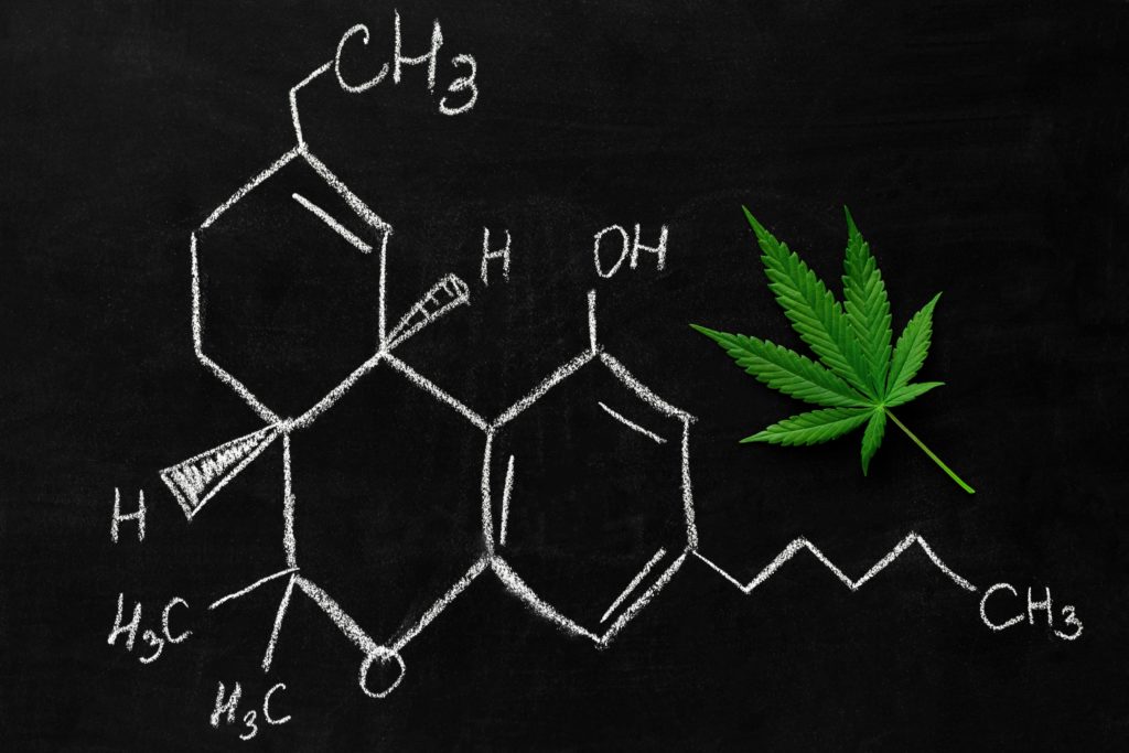 the endocannabinoid system, science behind hemp, CBD